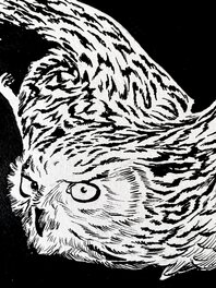 Détail Détail