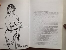 La Dédicace / dessin original pleine page dans La Art Book " Les 12 Signes de L'Amour  " , Eo 2002 éditions Geisha/Blanche