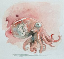 Tony Sandoval - Octopus I - Publié - Illustration originale