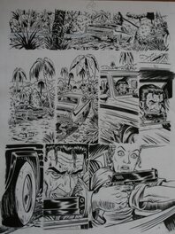 Fred Druart - Over seas high way - Comic Strip