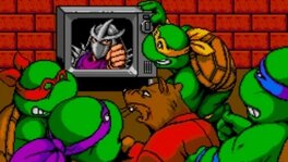 Turtles in Time