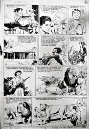 José Larraz - Douce Liane - l'amie de la jungle - Planche originale