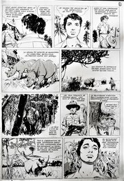 José Larraz - Douce Liane - l'amie de la jungle - Comic Strip