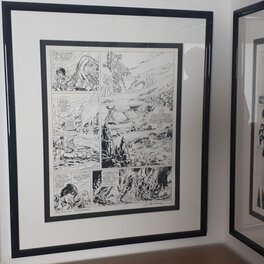 Framed Framed