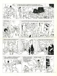 Laurent Parcelier - La Malédiction des 7 boules vertes - T1 - Le voyageur imprudent Pl 16 - Comic Strip