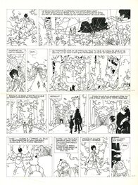 Laurent Parcelier - La Malédiction des 7 boules vertes : Le voyageur imprudent - Planche originale - Planche originale
