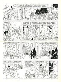 Laurent Parcelier - La Malédiction des 7 boules vertes - T1 - Le voyageur imprudent Pl 16 - Planche originale