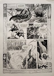 "il Re Leone" planche 3