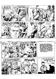 Comic Strip - Tiger Joe