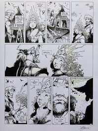 David Etien - Quête de l'oiseau du temps - T11 - Folle graine - planche 14 - Comic Strip