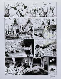 David Etien - Quête de l'oiseau du temps - T11 - Folle graine - planche 15 - Planche originale