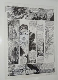 Mohamed Aouamri - Planche originale pour la série Mortepierre - Planche originale