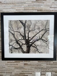 Enfin au mur! Enfin au mur!