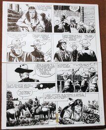 Page 5 Page 5