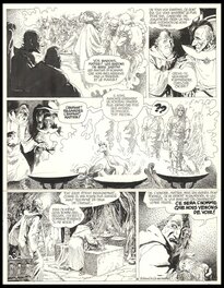 Grzegorz Rosinski - 1982 - Thorgal - Tome 6 - La chute de Brek Zarith - Planche originale