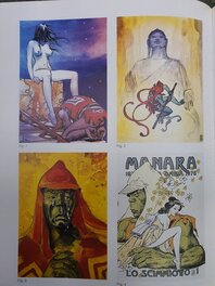 Manara Gallery of Cover page 6 Manara Gallery of Cover page 6