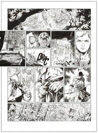 Benoit Dellac - "Nottingham" tome 1 - Planche originale