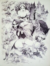 Fabrice Meddour - LA BELLE ET LA BÊTE illustration originale - Original Illustration