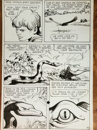 Comic Strip - YACATA (Fils-du-Soleil) n°10 LE CLAN DES TAMANOIRS planche originale