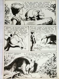 Comic Strip - YATACA (Fils-du-Soleil) n°10 LE CLAN DES TAMANOIRS planche originale