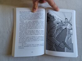 L'illustration dans le roman.