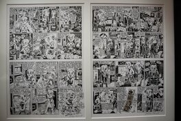 Exposition Exposition