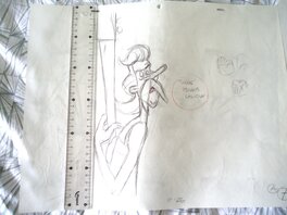 Taille Taille