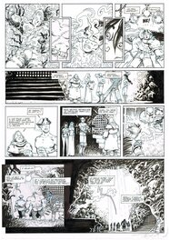 Didier Tarquin - Lanfeust de Troy - Planche originale