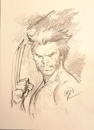 Ivan Reis - Wolverine - Illustration originale