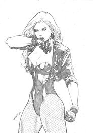 Gardenio - Black Canary - Illustration originale