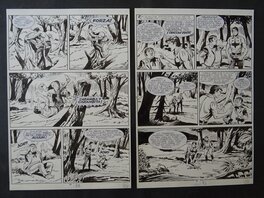 Franco Donatelli - Zagor 147 " la minaccia verde " - Comic Strip