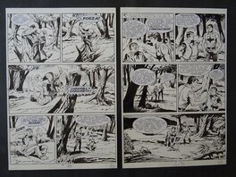 Franco Donatelli - Zagor 147 " la minaccia verde " - Planche originale