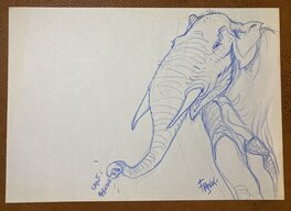 Frank Pé - Eléphant - Original Illustration