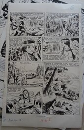 Ferdinando FUSCO - Aigle NOIR - Comic Strip