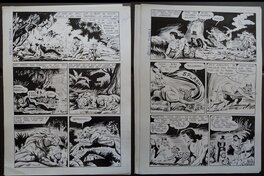 Bertrand Charlas - Zembla  " SOS sur le Fleuve " 1968 - Comic Strip