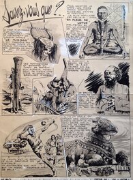Comic Strip - Rémy Bordelet RÉMY Savez-vous Que ? .. Kissar Fleur de Lotus éléphant , Planche originale lavis 1952 P'tit gars 2 Atelier Chott