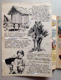 La planche originale de A Madagascar 2 de Décembre 1952 au format entier de 22 X 33 Cm La planche originale de A Madagascar 2 de Décembre 1952 au format entier de 22 X 33 Cm