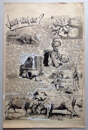 La planche originale du Saviez-vous Que ?... de Avril 1953 du BB 78 au format entier de 32.5 x 50 Cm La planche originale du Saviez-vous Que ?... de Avril 1953 du BB 78 au format entier de 32.5 x 50 Cm