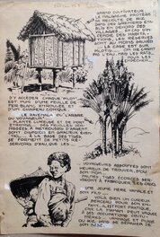 Comic Strip - Rémy Bordelet RÉMY Choses vues A Madagascar case pilotis femme Vanale, Planche originale dessin 1952 P'tit gars 3 Atelier Chott