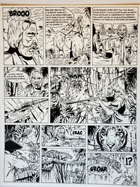 Frédéric Marniquet - LES AVENTURES DE KEN MALLORY, MYSTERES EN BIRMANIE  T2 LA VALLEE DES OMBRES - Comic Strip