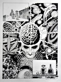 DOPE RIDER  » Shared Consciousness  » – Planche Originale – Paul kirchner