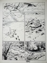 Le lièvre de Mars - Planche originale