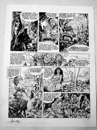 Mohamed Aouamri - Mortepierre tome 2 - Planche originale