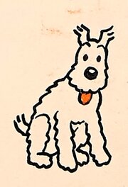 5 5