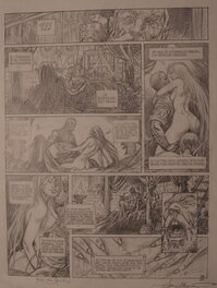 Saga Valta - Planche originale