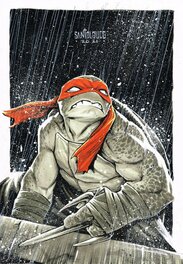 Mateus Santolouco - Raphael TMNT - Illustration originale