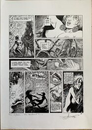 Saga Valta - Comic Strip