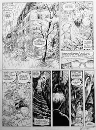 Laurent Vicomte - Sasmira p27 T1 - Comic Strip