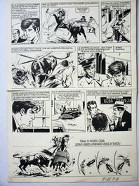 William Vance - MANOLO EL CORDOBES - Comic Strip