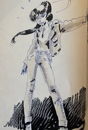 Jaap De Boer, illustration originale, Bambou,"Pile ou Face au Colombzuela".